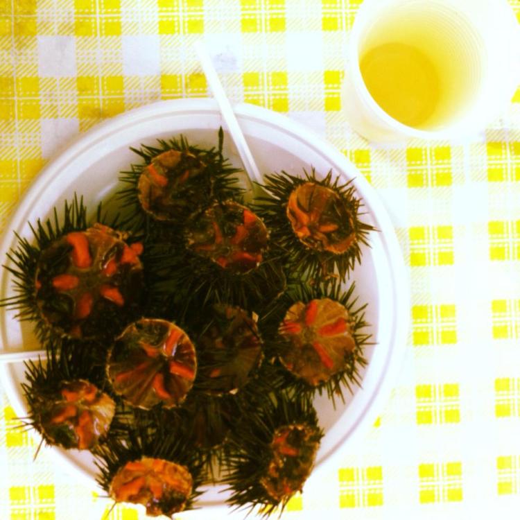 Ricci di mare |aperitivo del pescatore