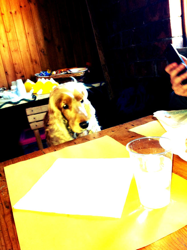 Charlie detto Ciccio in gita al Fargno