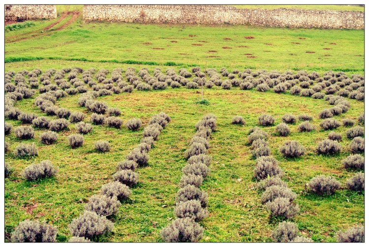 I Giardini di Pomona