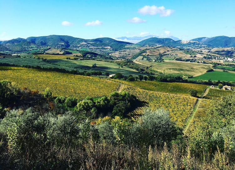 Spumante Tassanare Monteschiavo Vini | Foodtrip and mORE