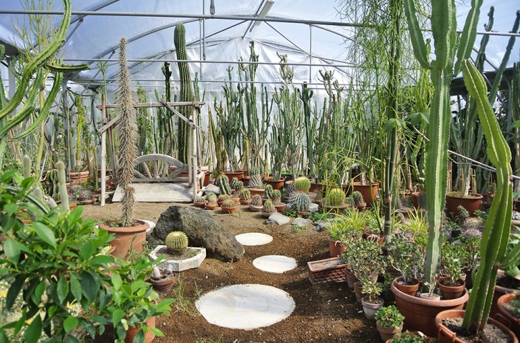 #MarcheExpress: itinerario nelle Marche tra Recanati, Porto Recanati e Loreto