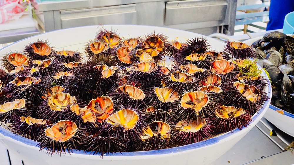 Dove mangiare in Puglia |